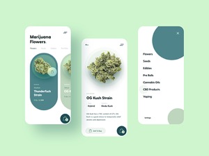 The Role of User Experience in Driving CBD Ecommerce Sales 2